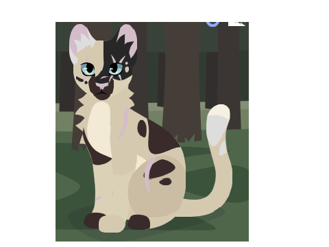 Moonshade!
