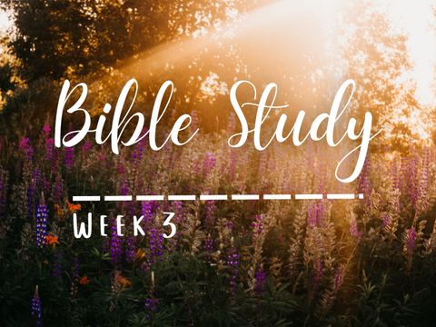Bible Study Week 3