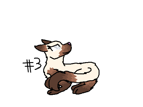 Adoptables!.Entry #2 & #3