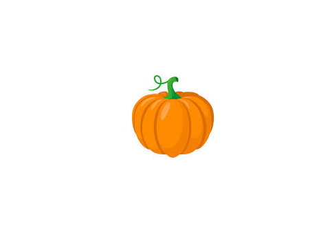 decorate this pumpkin!