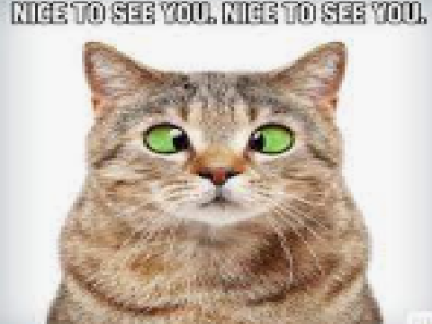 Meme6