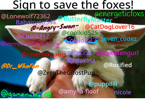 STOP HUNTING FOXES remix remix remix remix remix 7's remix... remix remix remix remix remix r… remix