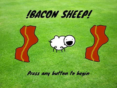 Bacon Sheep