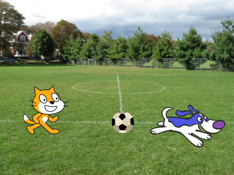 Dog and Cat football