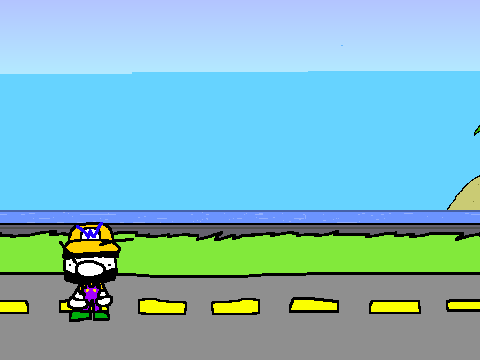 WAHOO simulator (v1.1)