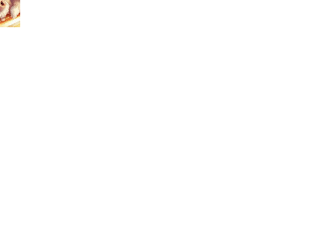Mouse pointer - @LineEevee!