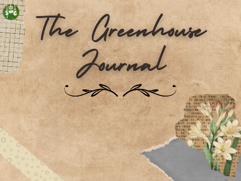 Journal ❀ Real-Fi SWC '23