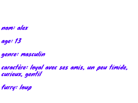 mon perso pour le Collège/Lycée des Furry