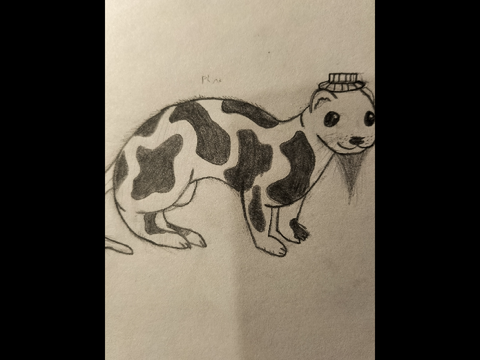 Aspen's sketch book (Art Dump)