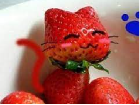 Dance Cat