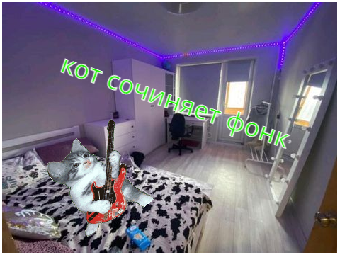 кот сочиняет фонк (meme)