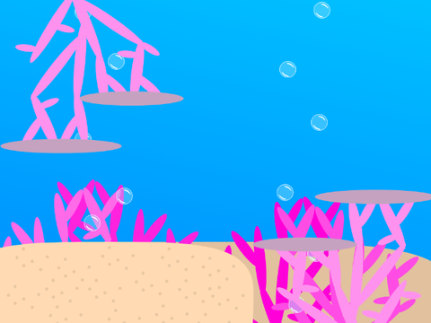 The Coral Corral