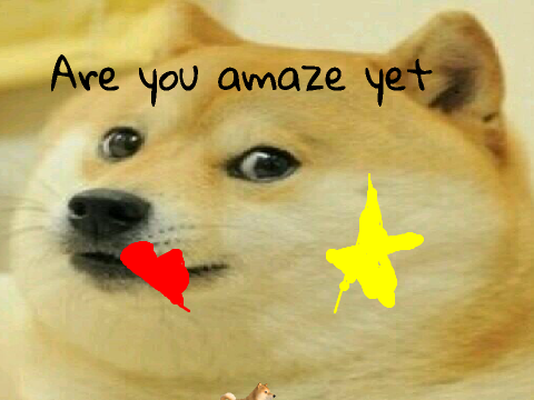 Doge Quest