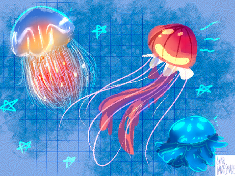 World Jellyfish Day