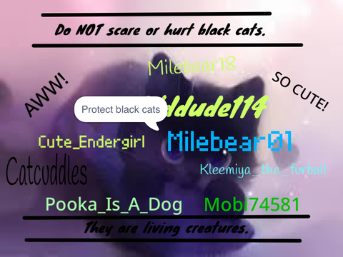 Stop Black Cat Abuse Petition PLEASE! remix remix remix remix remix