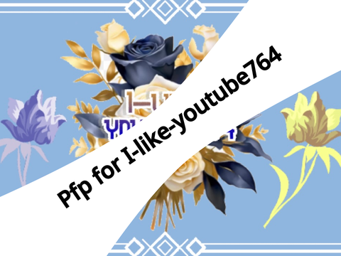 I-like-youtube764 ‘s PFP 