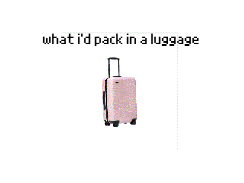 what i'd pack in a luggage