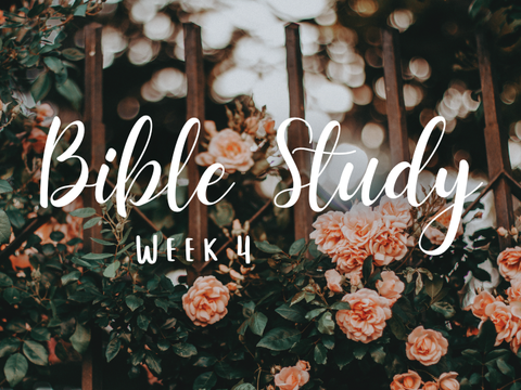 Bible Study Week 4