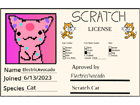 My Scratch License