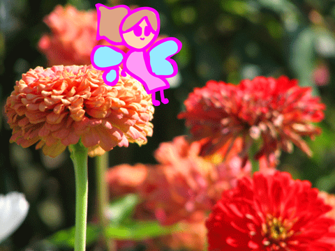 garden pixies