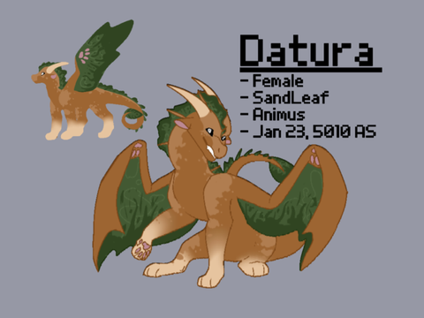 WTAE || Vera (Datura)