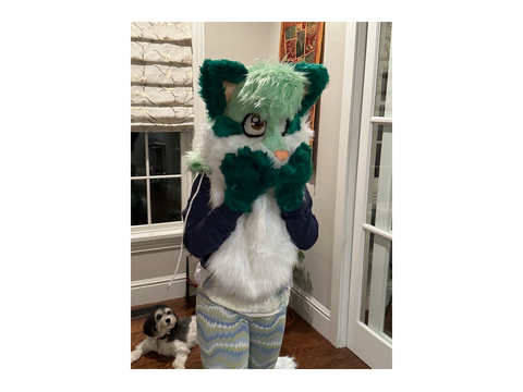 clampity the lykoi - fursuit build