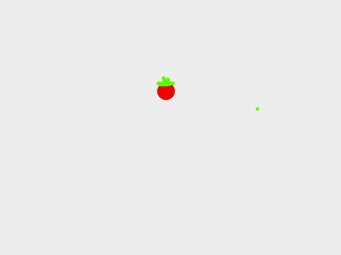 Tomato in a snow storm