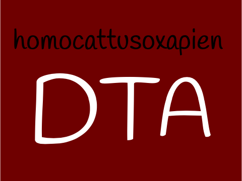 OPEN DTA
