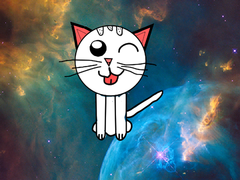 Cute cat ♡