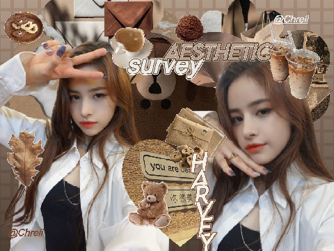 ₊* aesthetic ୨☆୧ survey  ⤸