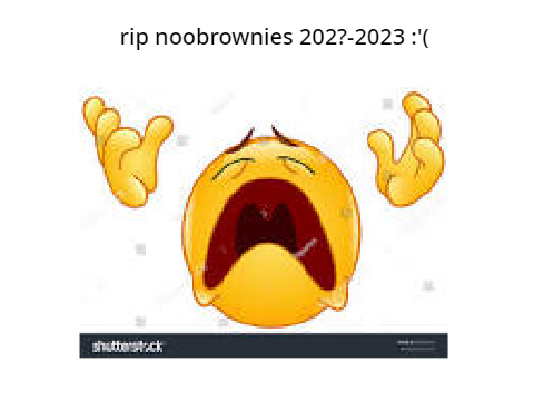 basically noobrownies