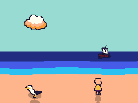 Seagull Physics!