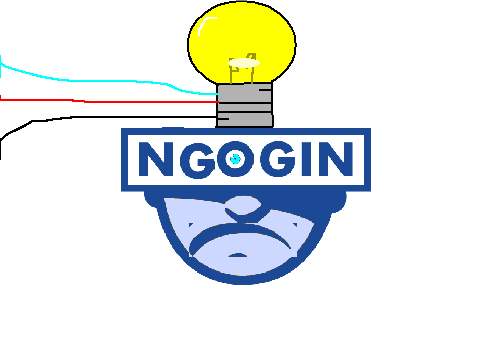 Ngogin 