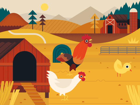 chicken