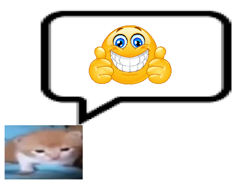 robert says something silly