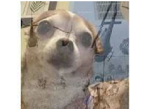 here for the memes