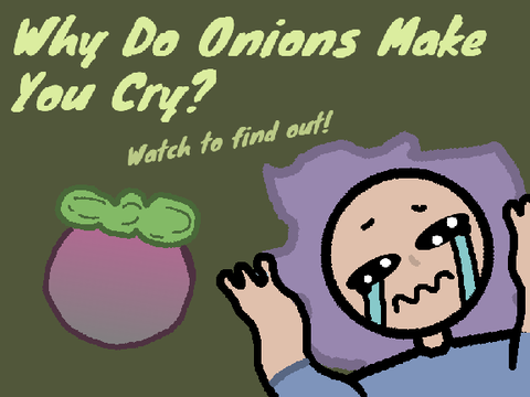 Why do Onions Make You Cry?