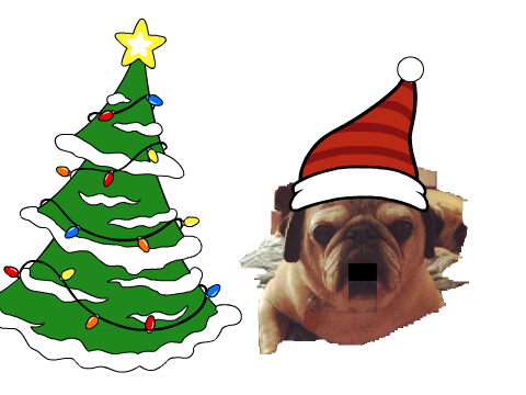 Ernie the Pug