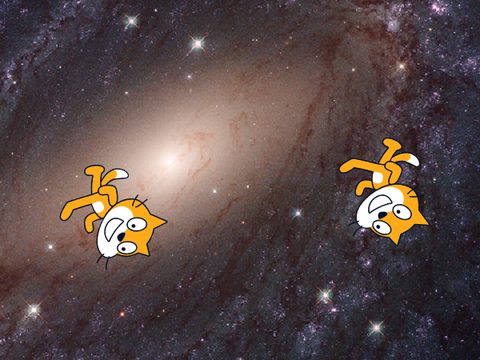 宇宙の猫