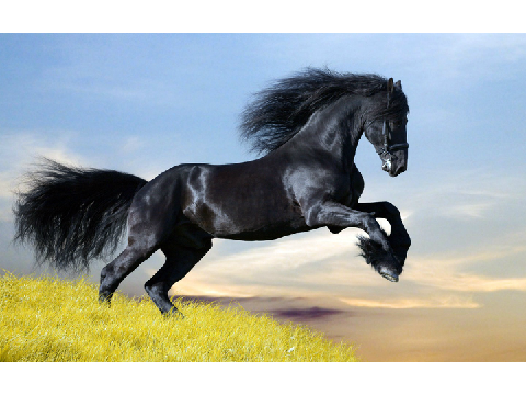 Dark Horse by Katy Perry