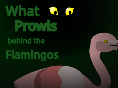 What Prowls behind the Flamingos? | Animation