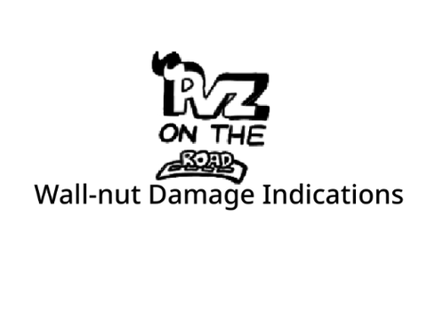 Wall-nut Damage Indications