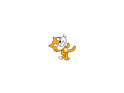 Spinning Cat