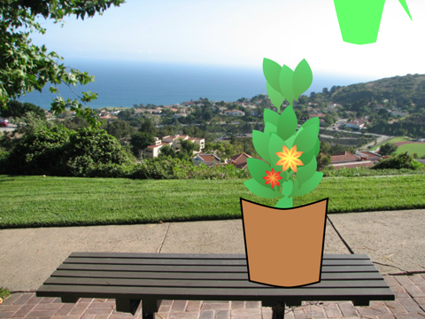 Growing plants
