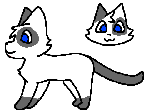 Cloudshade REF!