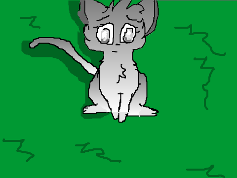 CloudPool - Med. Cat