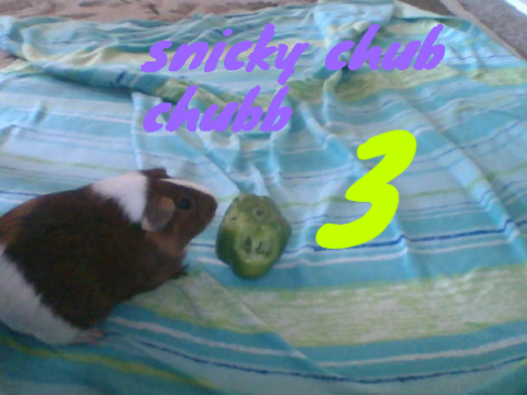Snicky chubb chubb 3