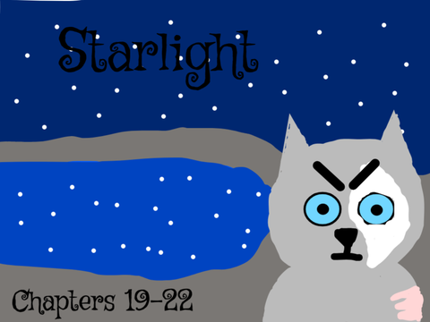 Starlight Entry