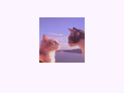 ✧╏lf litters + preclaims