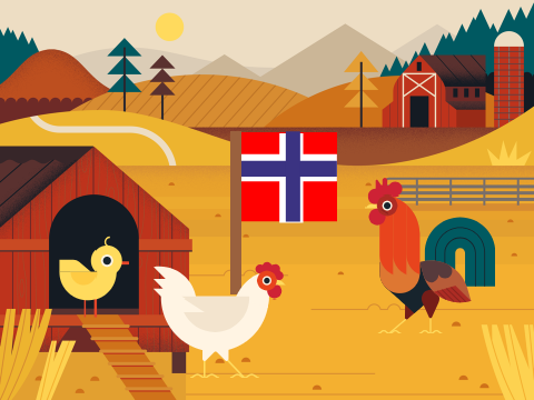 chickens base